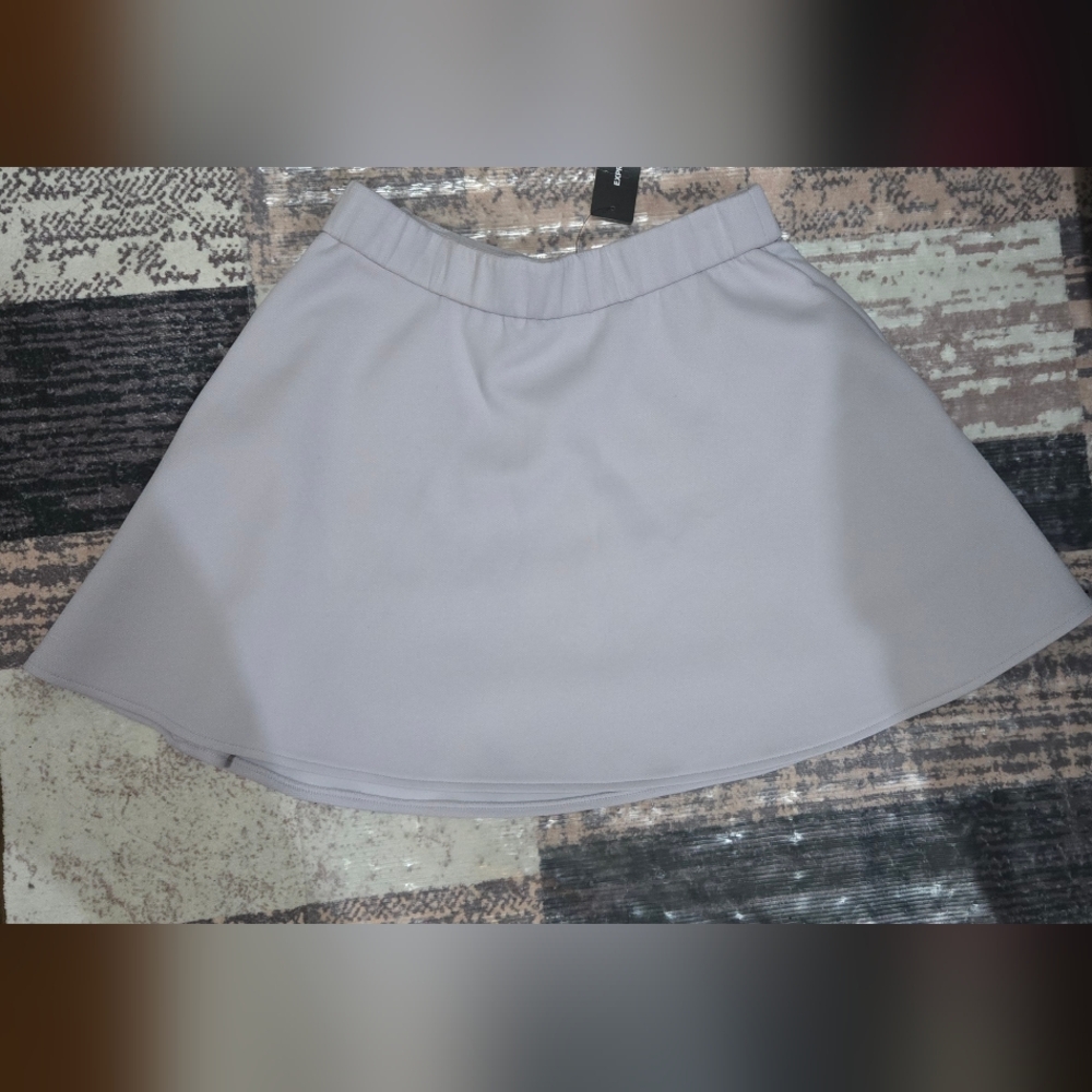 Express Light Blue Pleated Skirt
